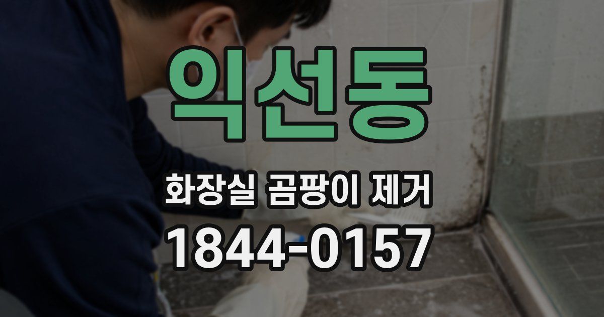 익선동 화장실 곰팡이 제거