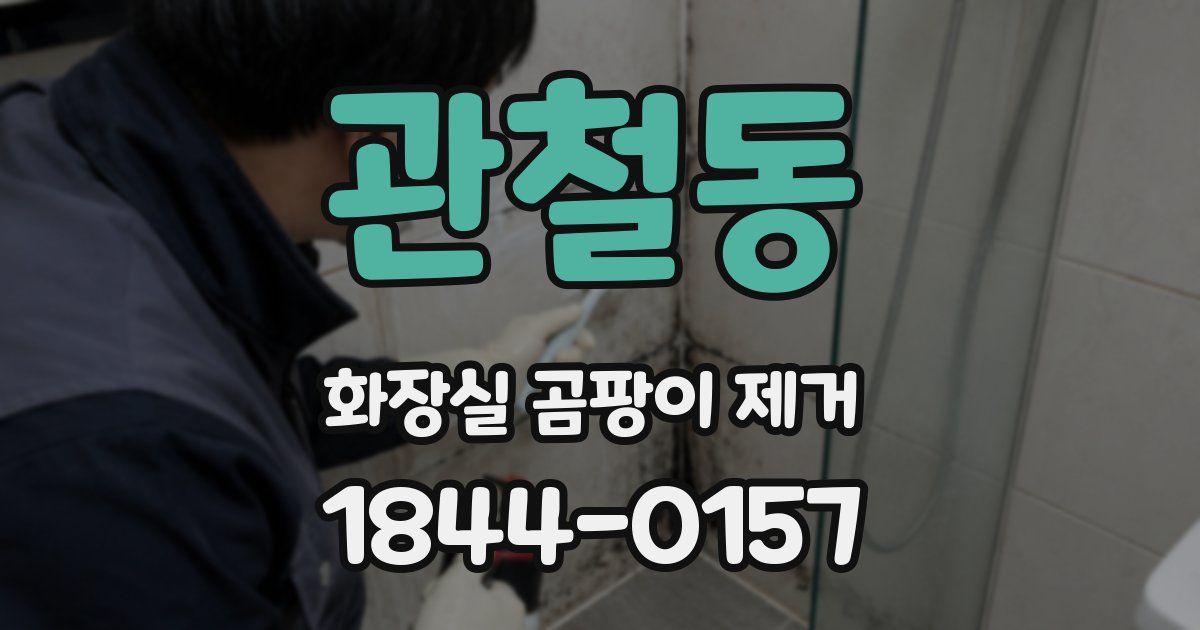 관철동 화장실 곰팡이 제거