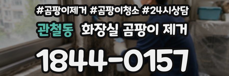 관철동 화장실 곰팡이 제거