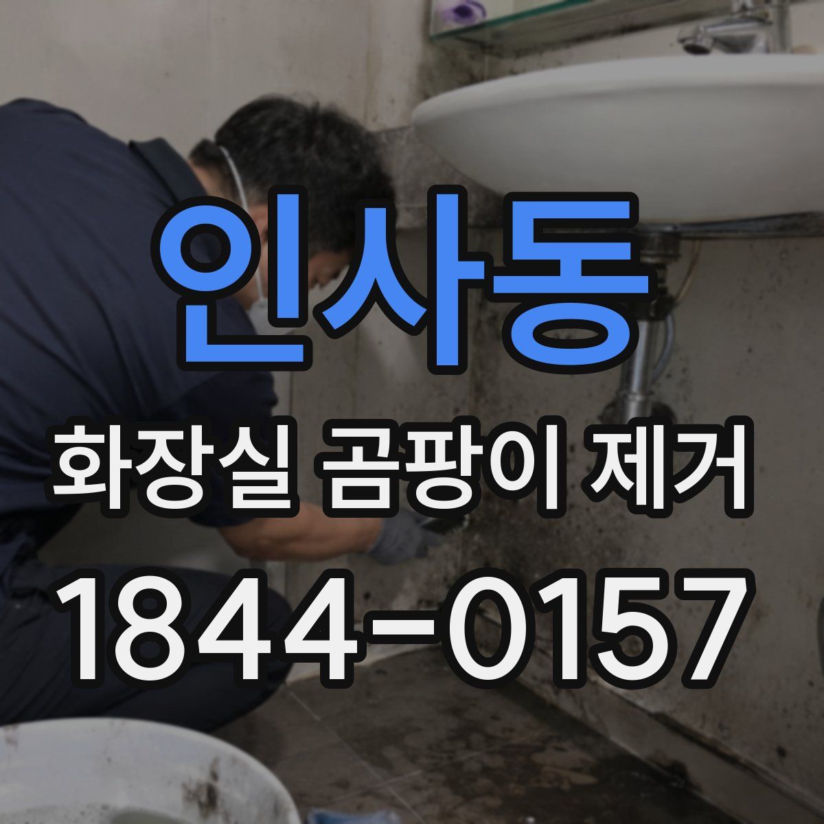인사동 화장실 곰팡이 제거