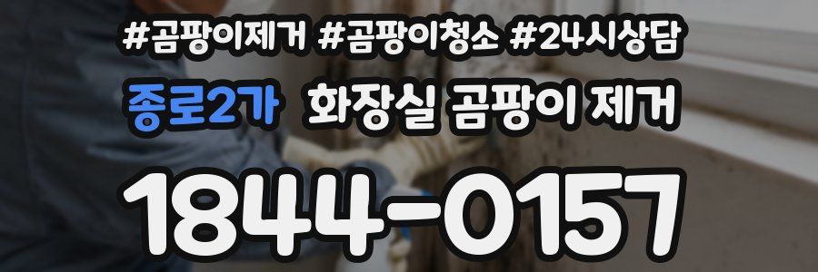 종로2가 화장실 곰팡이 제거
