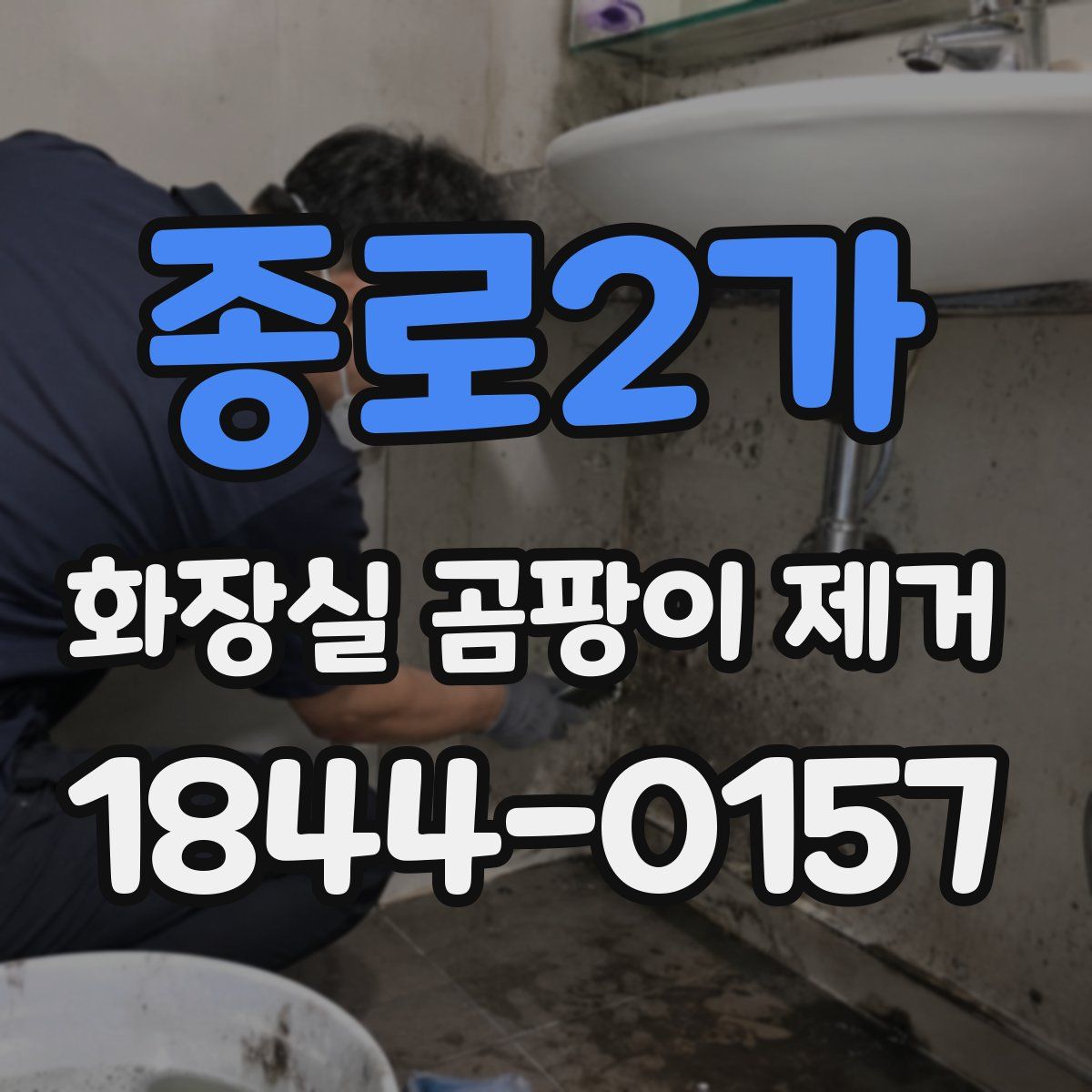 종로2가 화장실 곰팡이 제거