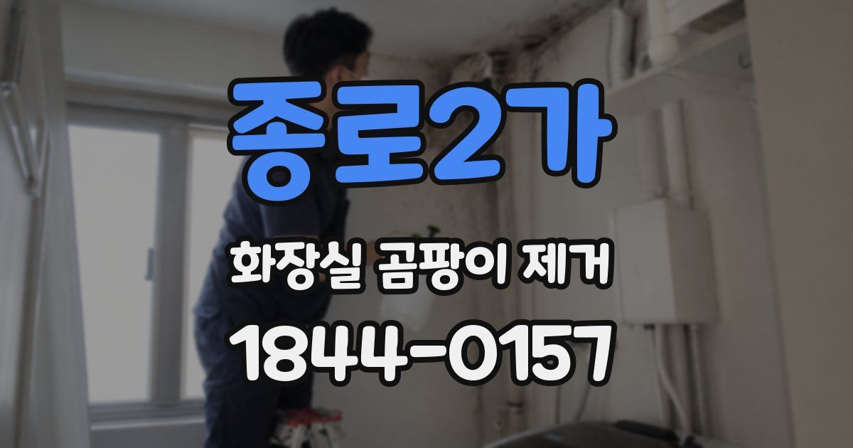 종로2가 화장실 곰팡이 제거
