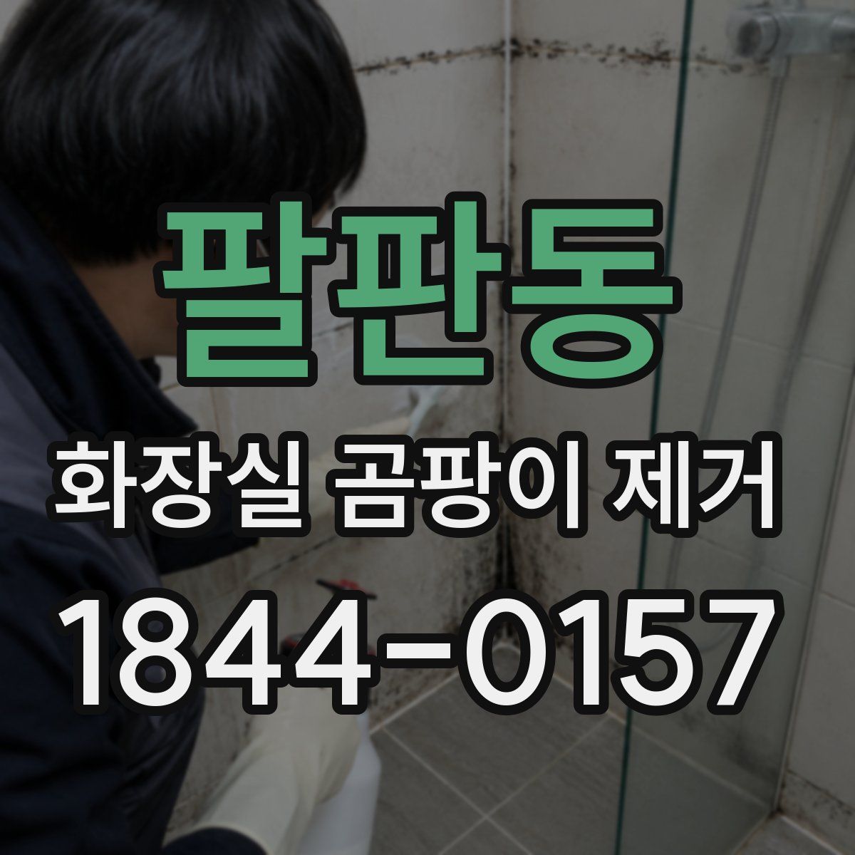 팔판동 화장실 곰팡이 제거