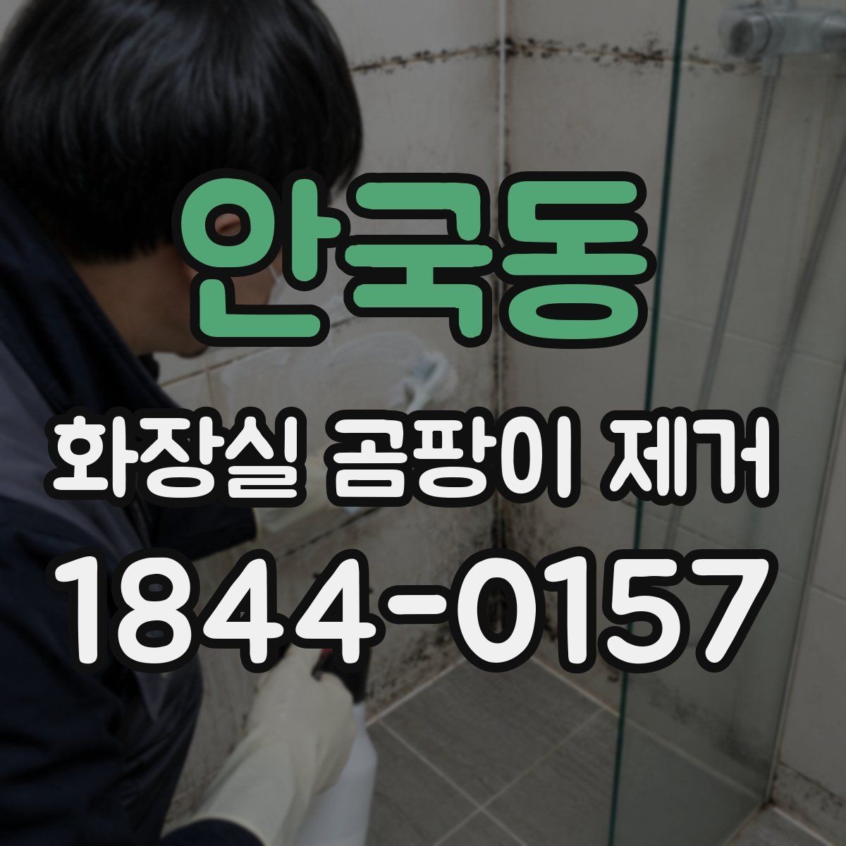 안국동 화장실 곰팡이 제거 오래된 얼룩과 최근 오염을 구분하는 방법