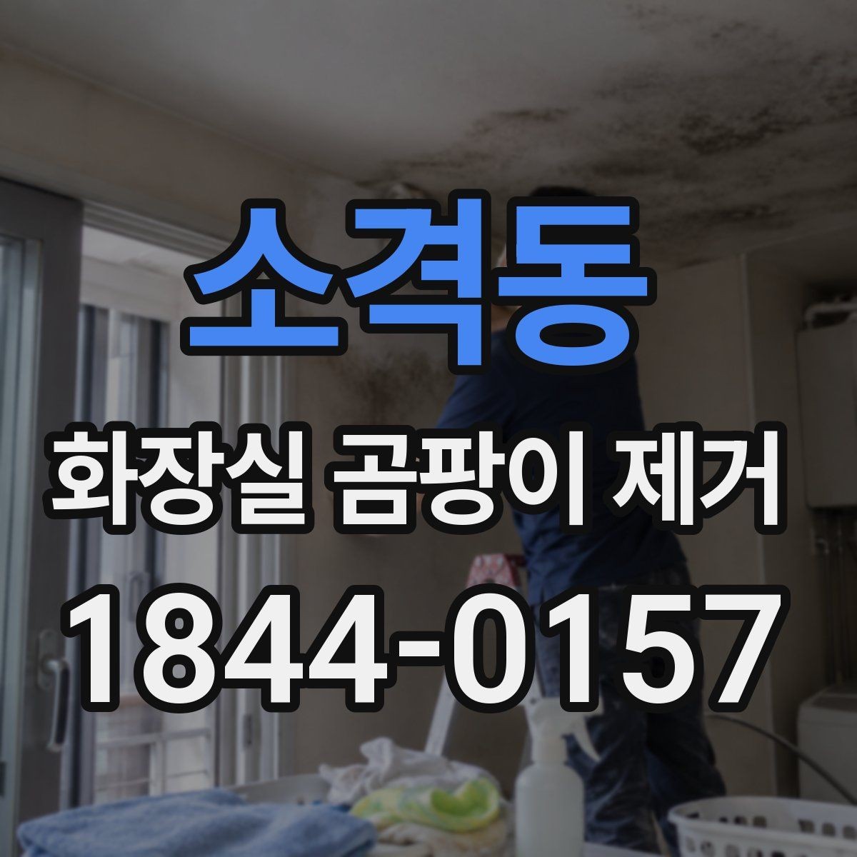 소격동 화장실 곰팡이 제거 깊게 스민 얼룩을 단계별로 확인하는 법