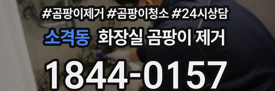 소격동 화장실 곰팡이 제거