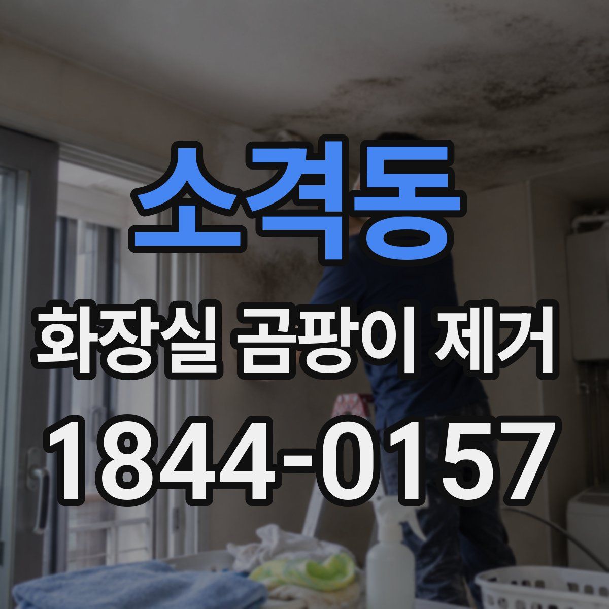 소격동 화장실 곰팡이 제거