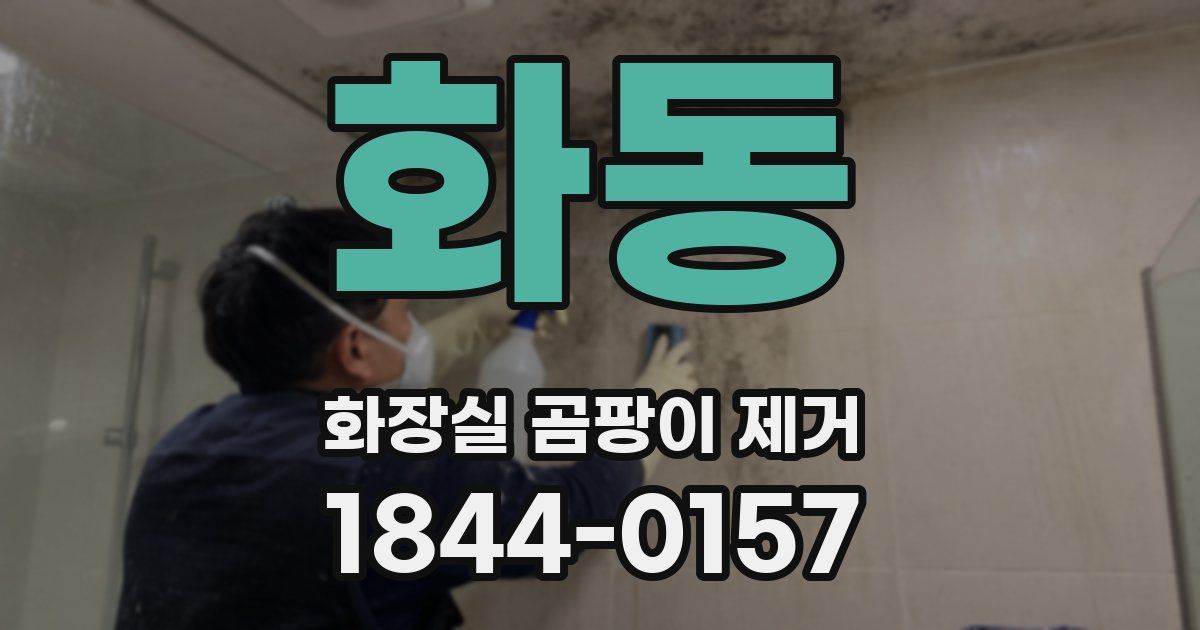 화동 화장실 곰팡이 제거