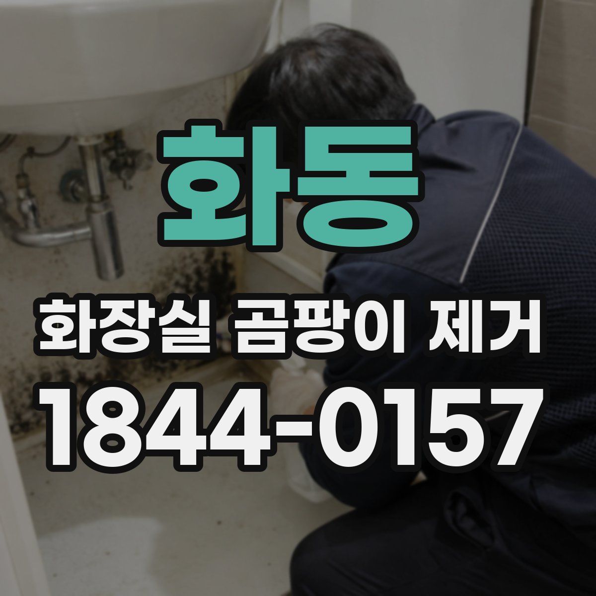 화동 화장실 곰팡이 제거