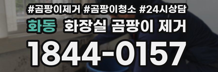 화동 화장실 곰팡이 제거