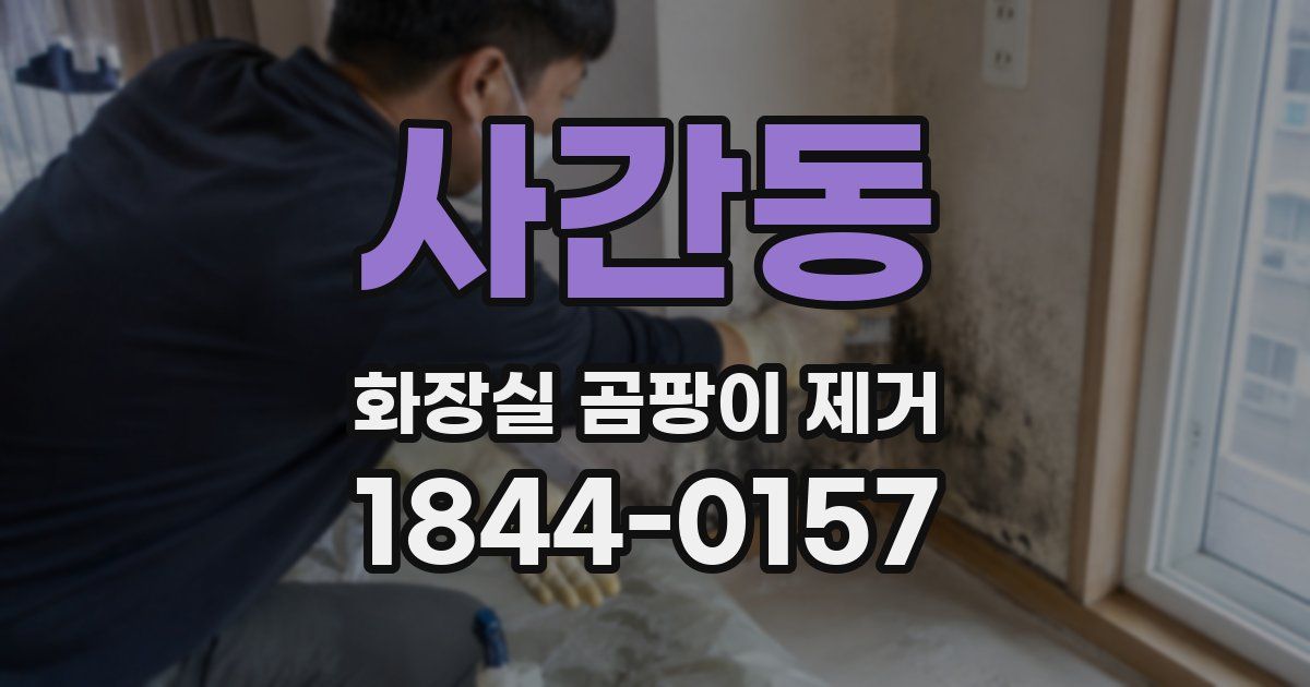 사간동 화장실 곰팡이 제거