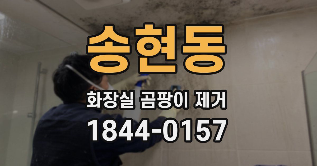 송현동 화장실 곰팡이 제거