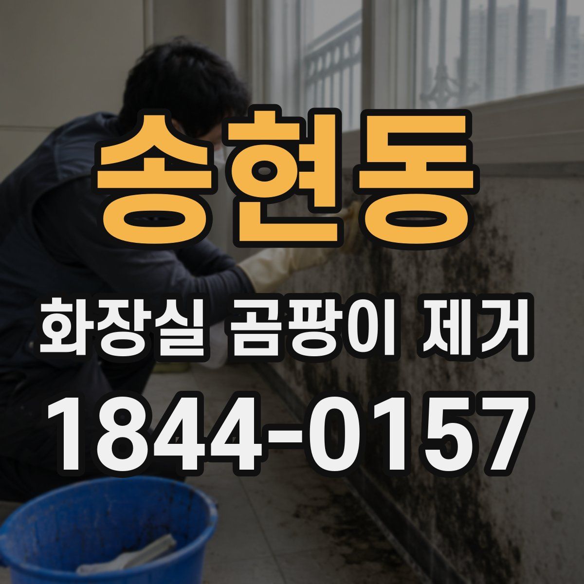 송현동 화장실 곰팡이 제거