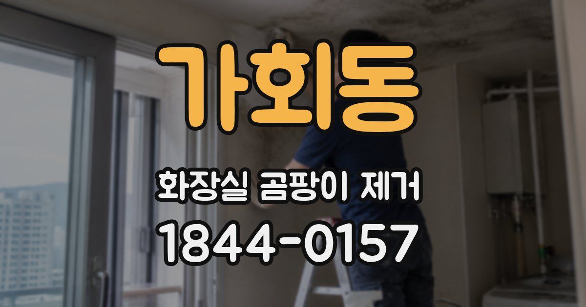 가회동 화장실 곰팡이 제거