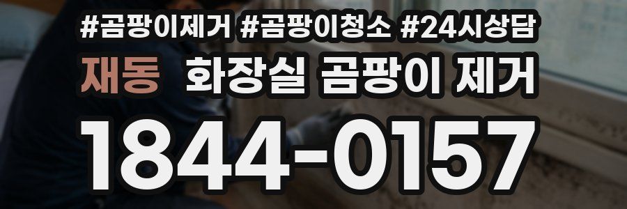 재동 화장실 곰팡이 제거