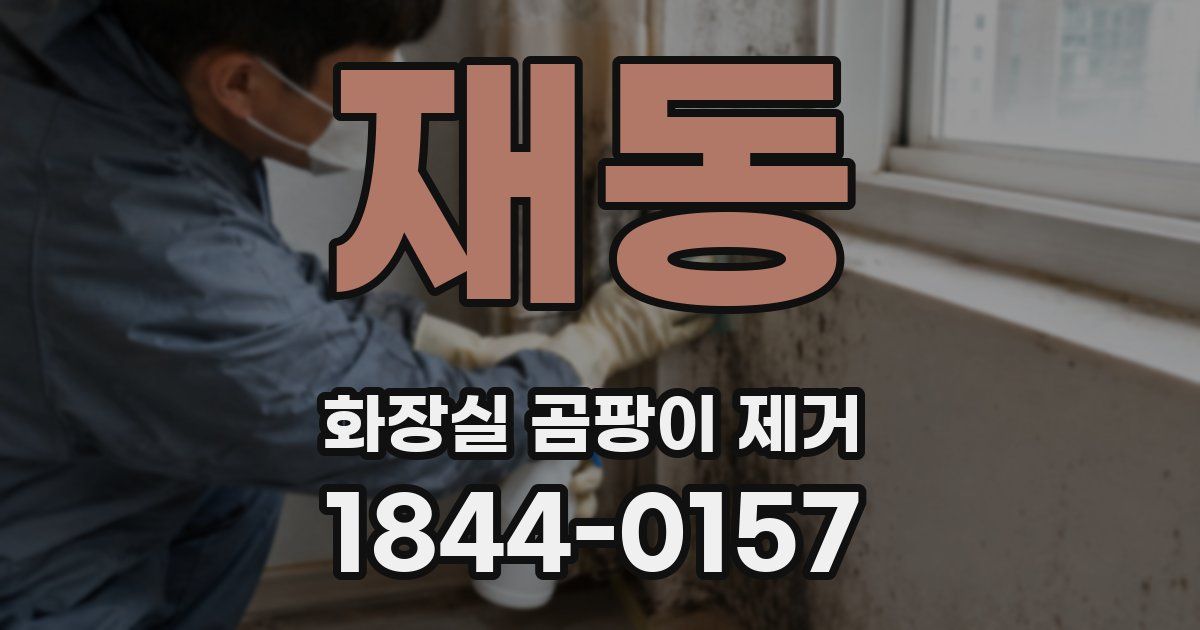 재동 화장실 곰팡이 제거