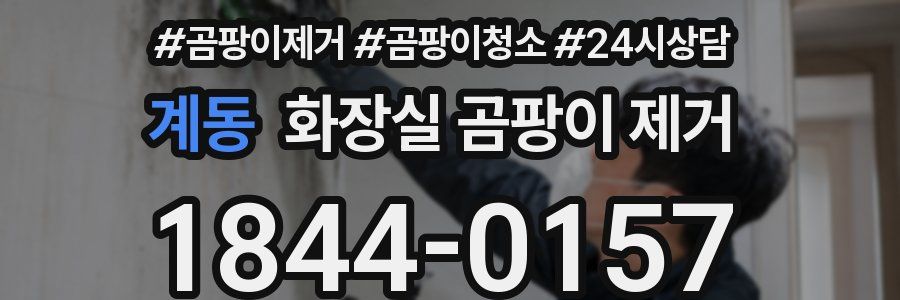 계동 화장실 곰팡이 제거