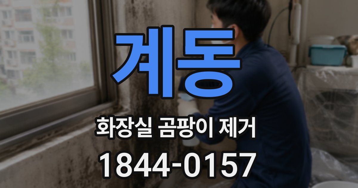 계동 화장실 곰팡이 제거