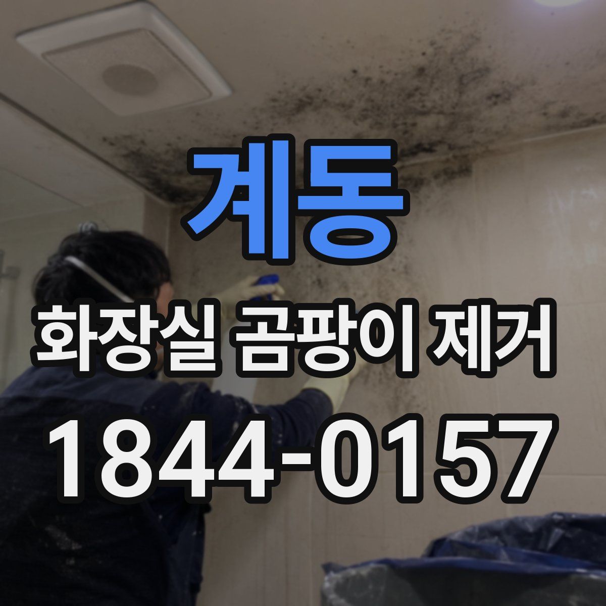 계동 화장실 곰팡이 제거