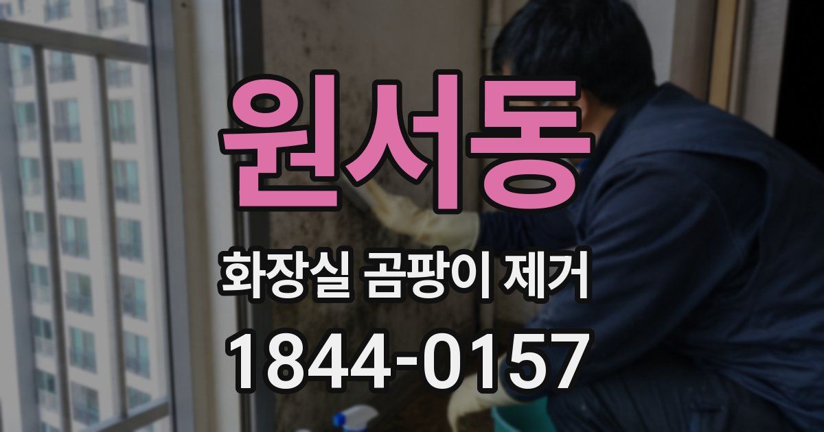 원서동 화장실 곰팡이 제거