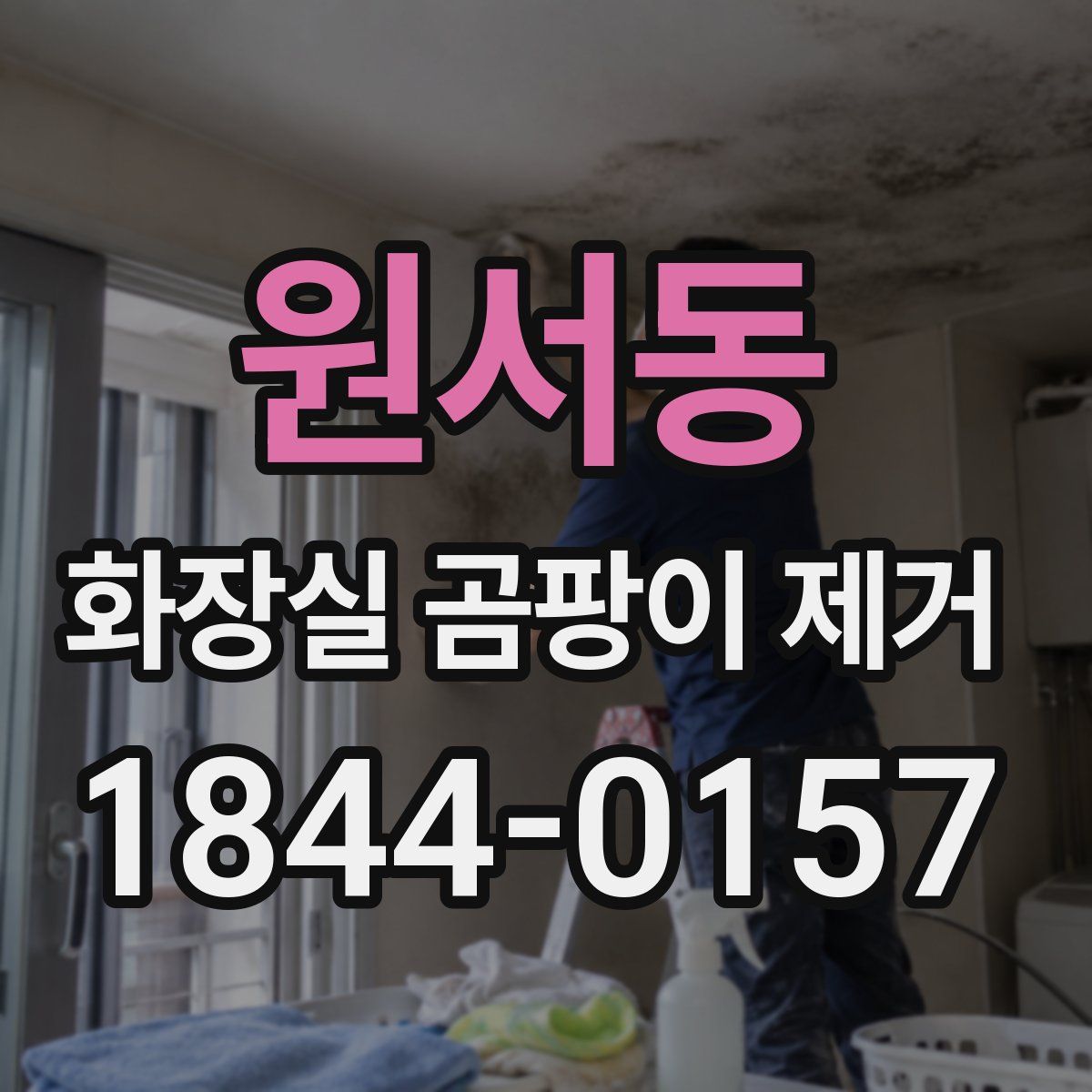 원서동 화장실 곰팡이 제거