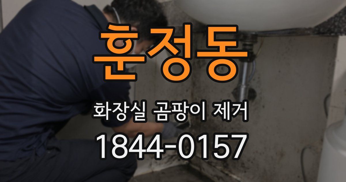훈정동 화장실 곰팡이 제거
