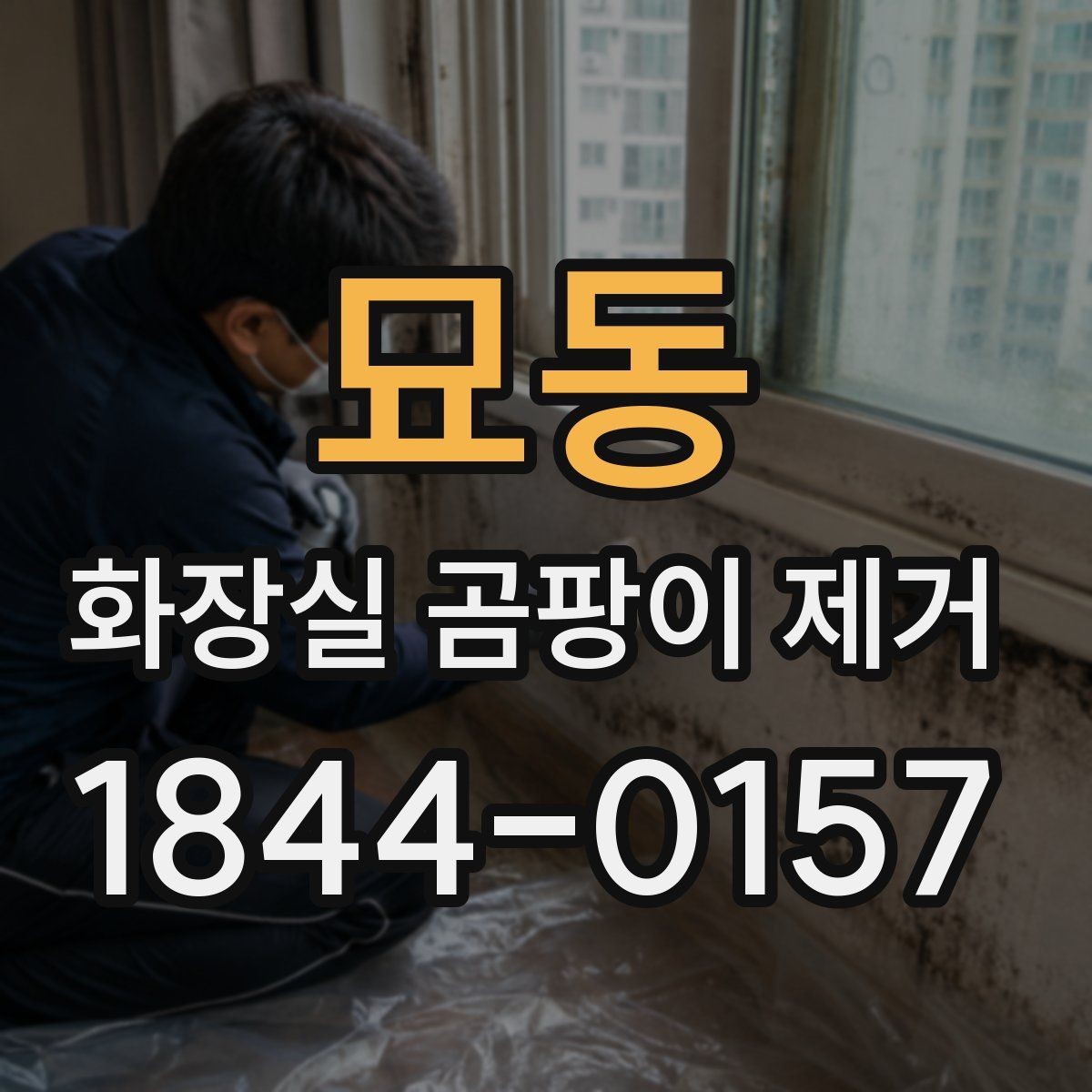 묘동 화장실 곰팡이 제거 청소만으로 어려운 손상 구간 살피기