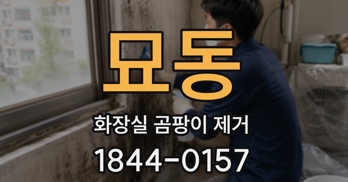 묘동 화장실 곰팡이 제거