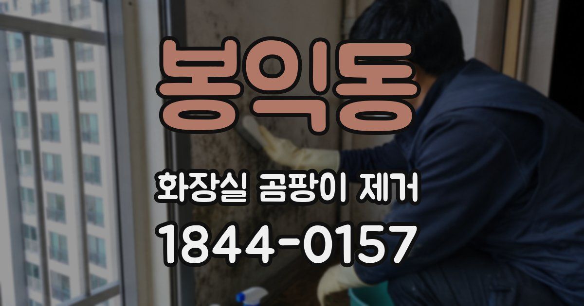 봉익동 화장실 곰팡이 제거