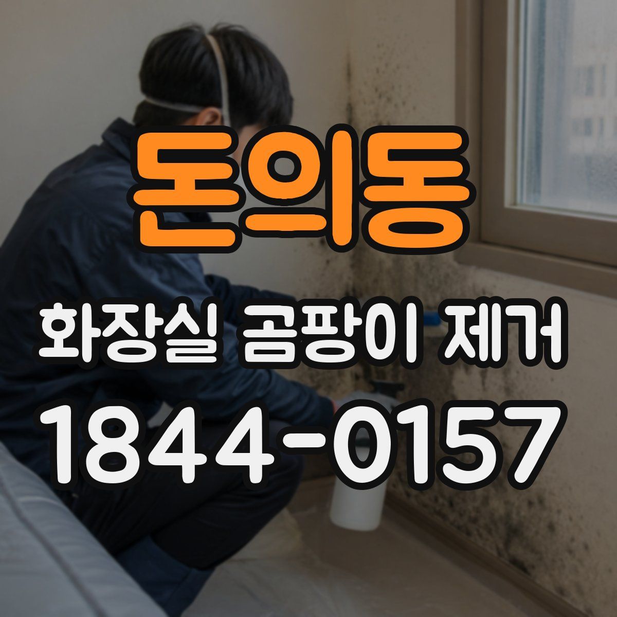 돈의동 화장실 곰팡이 제거