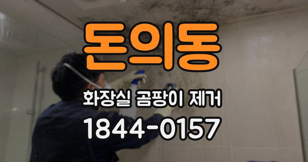돈의동 화장실 곰팡이 제거