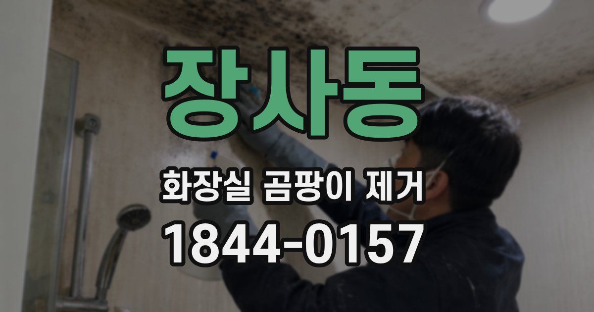 장사동 화장실 곰팡이 제거
