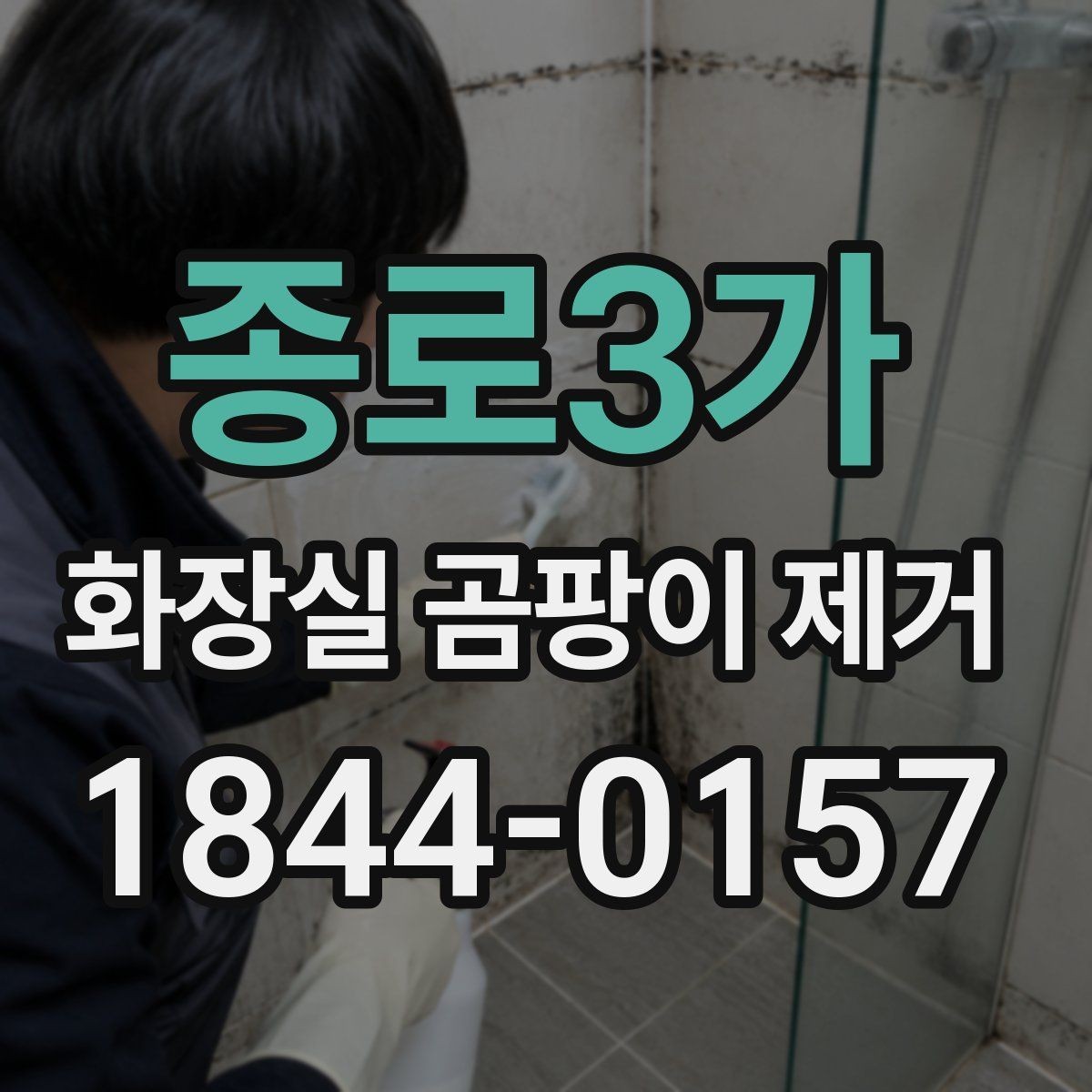 종로3가 화장실 곰팡이 제거 세정제보다 먼저 볼 작업 순서