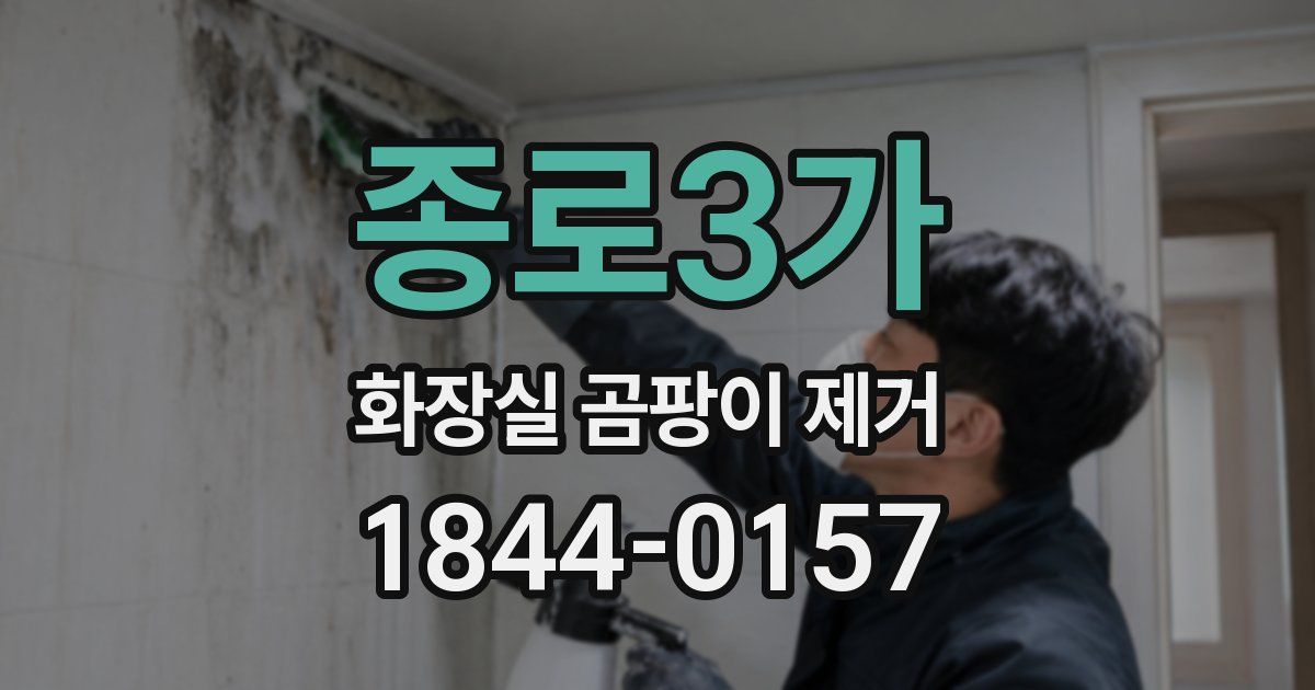 종로3가 화장실 곰팡이 제거