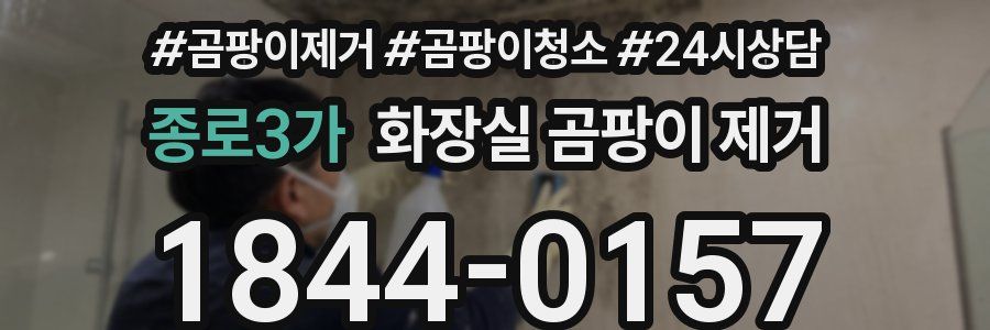 종로3가 화장실 곰팡이 제거