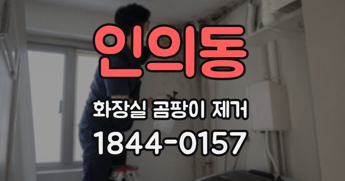 인의동 화장실 곰팡이 제거