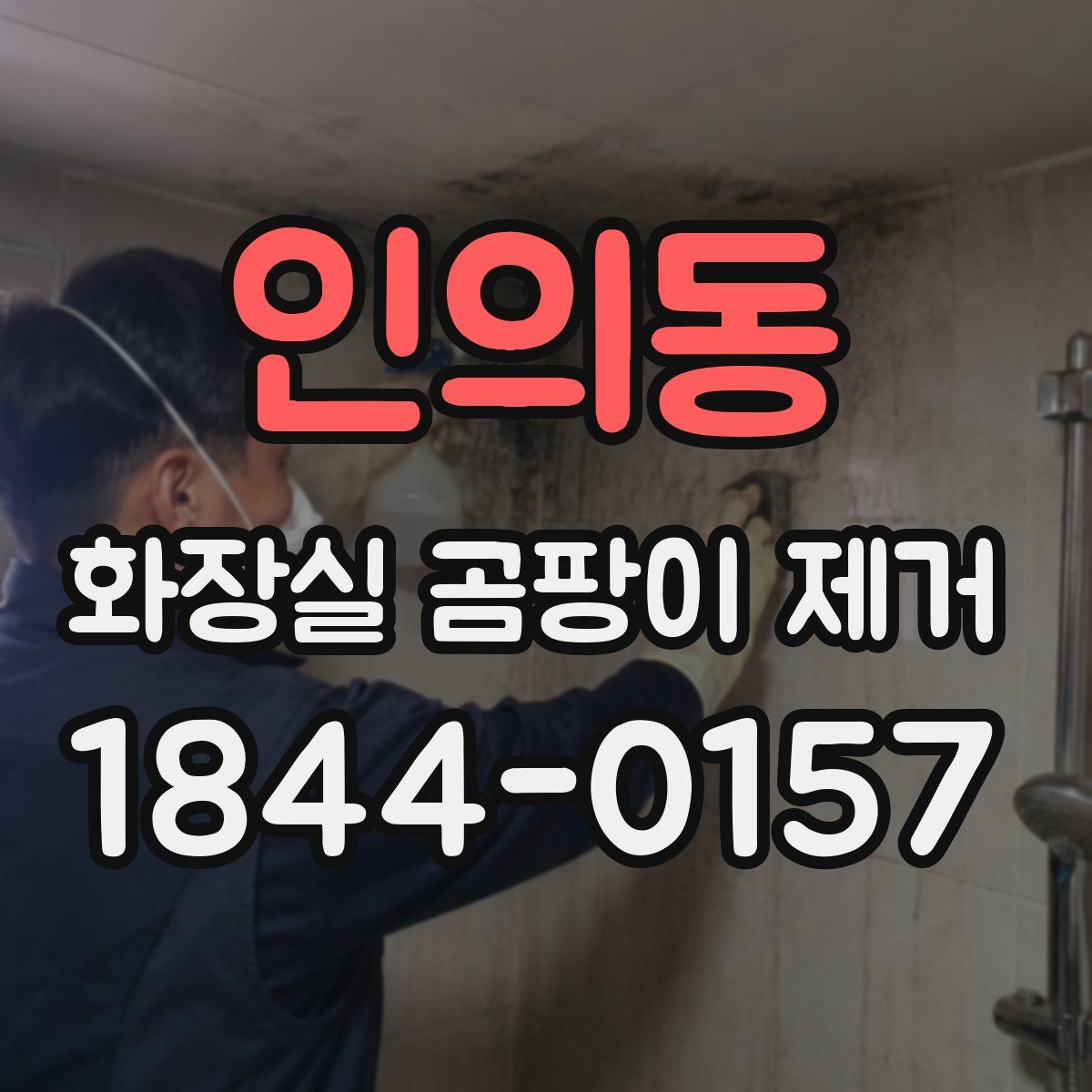인의동 화장실 곰팡이 제거