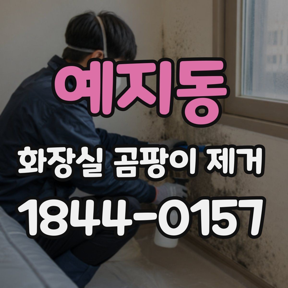 예지동 화장실 곰팡이 제거 오염이 깊어졌을 때 필요한 대응 범위