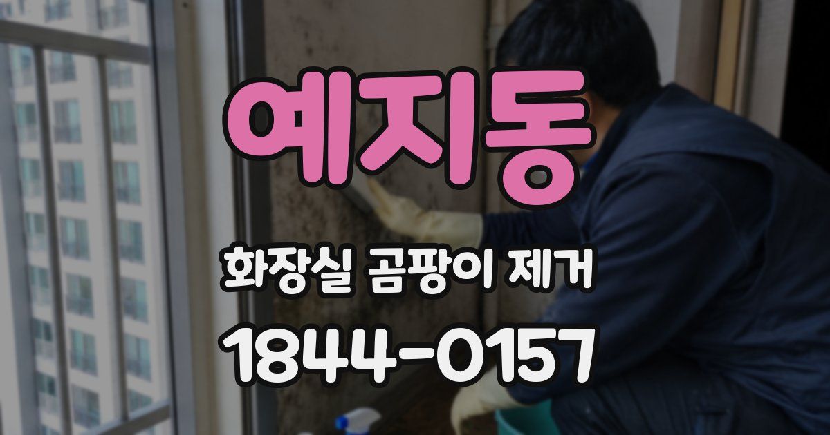 예지동 화장실 곰팡이 제거
