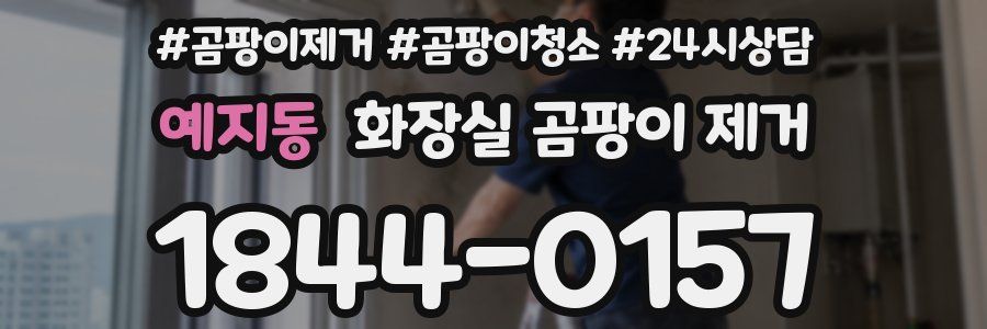 예지동 화장실 곰팡이 제거