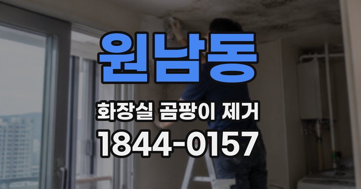 원남동 화장실 곰팡이 제거