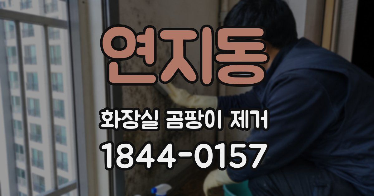 연지동 화장실 곰팡이 제거