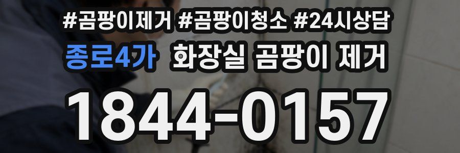 종로4가 화장실 곰팡이 제거