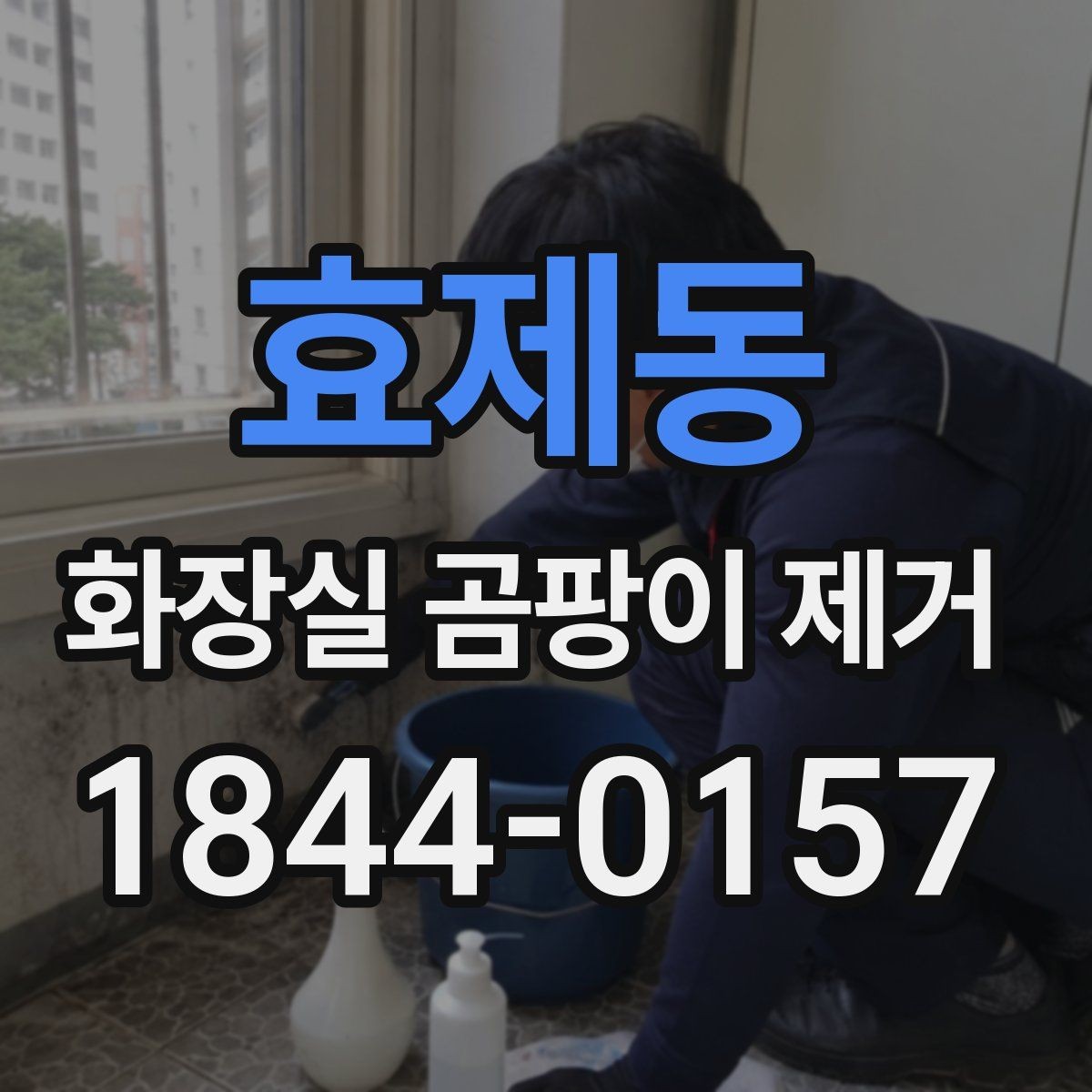 효제동 화장실 곰팡이 제거 표면 손상 없이 닦아내는 작업 방식