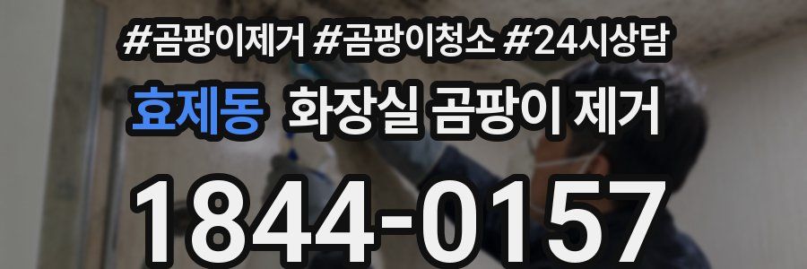 효제동 화장실 곰팡이 제거