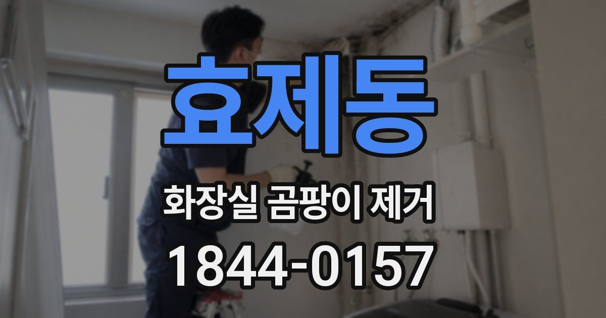 효제동 화장실 곰팡이 제거
