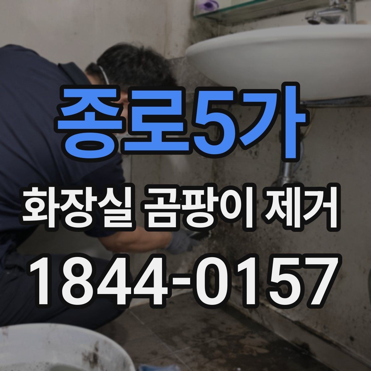종로5가 화장실 곰팡이 제거 타일 틈새 깊은 오염을 다루는 실전 요령