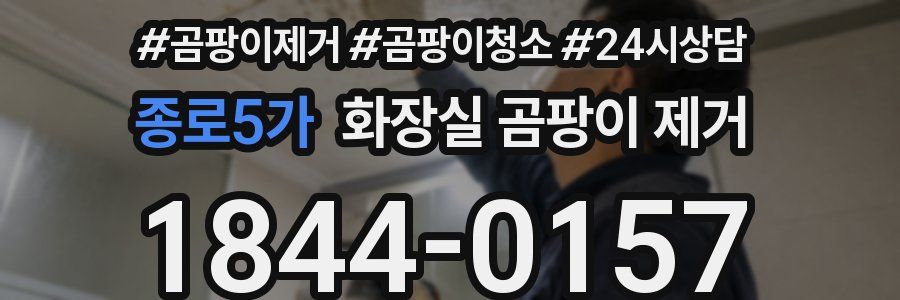 종로5가 화장실 곰팡이 제거
