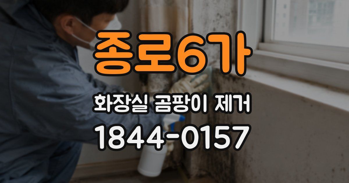 종로6가 화장실 곰팡이 제거